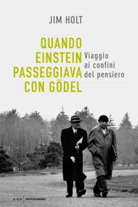 Quando Einstein passeggiava con Gödel_cover