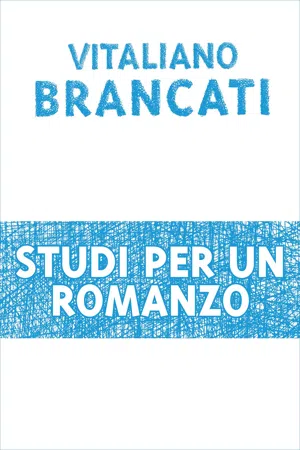 Studi per un romanzo