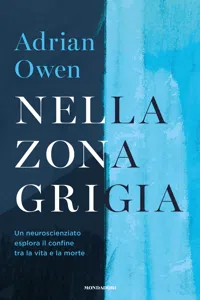 Nella zona grigia_cover