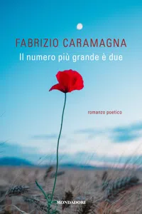 Il numero più grande è due_cover