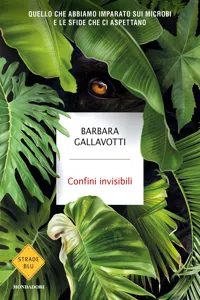 Confini invisibili_cover