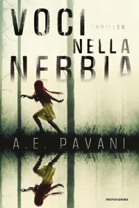 Voci nella nebbia_cover