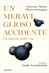 Un meraviglioso accidente_cover