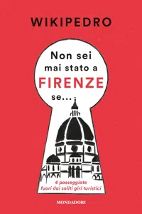 Non sei mai stato a Firenze se_cover