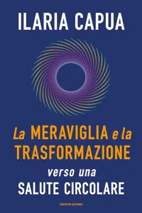 La meraviglia e la trasformazione_cover