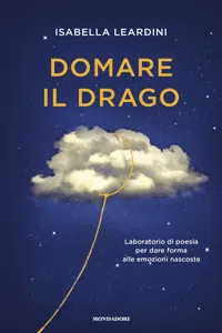 Domare il drago_cover