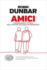 Amici_cover