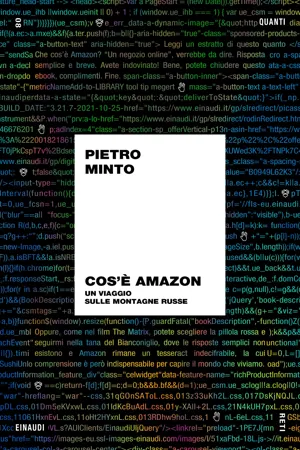 Cos'è Amazon