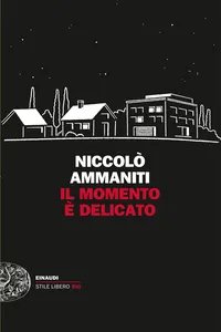 Il momento è delicato_cover