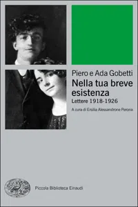 Nella tua breve esistenza_cover