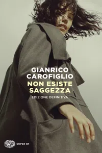 Non esiste saggezza_cover