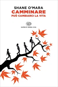 Camminare può cambiarci la vita_cover