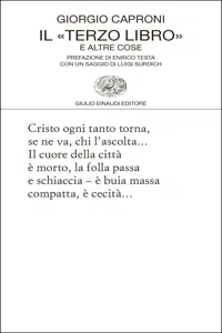 Il «Terzo libro» e altre cose_cover