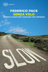 Senza volo_cover