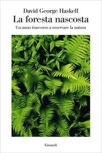 La foresta nascosta_cover