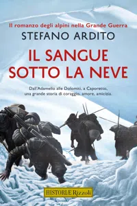 Il sangue sotto la neve_cover