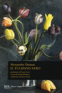 Il tulipano nero_cover