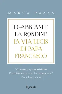 I gabbiani e la rondine_cover