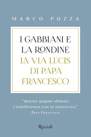 I gabbiani e la rondine