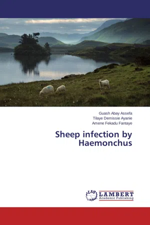 Sheep infection by Haemonchus