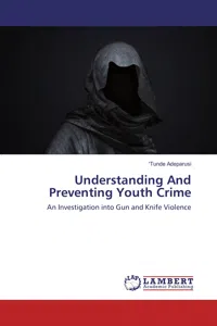 Understanding And Preventing Youth Crime_cover