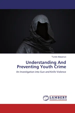 Understanding And Preventing Youth Crime