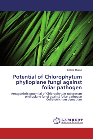 Potential of Chlorophytum phylloplane fungi against foliar pathogen