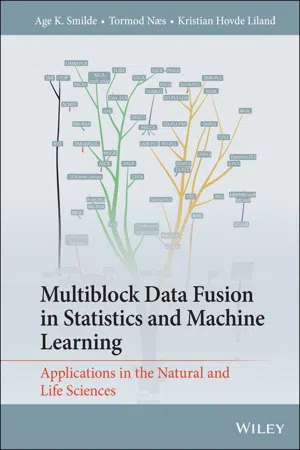 Multiblock Data Fusion in Statistics and Machine Learning