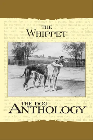 The Whippet - A Dog Anthology (A Vintage Dog Books Breed Classic)