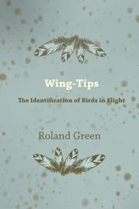 Wing-Tips - The Identification of Birds in Flight_cover