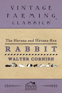 The Havana and Havana-Rex Rabbit_cover