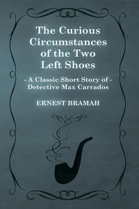 The Curious Circumstances of the Two Left Shoes_cover