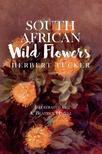 South African Wild Flowers - Illustrated by A. Beatrice Hazell_cover