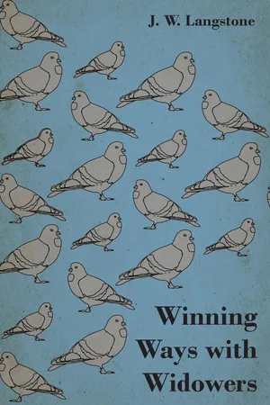 Winning Ways With Widowers