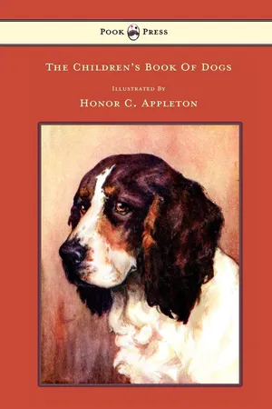 The Children's Book of Dogs - Illustrated by Honor C. Appleton