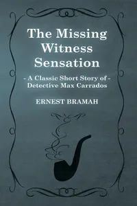 The Missing Witness Sensation_cover