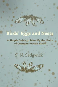 Birds' Eggs and Nests - A Simple Guide to Identify the Nests of Common British Birds_cover