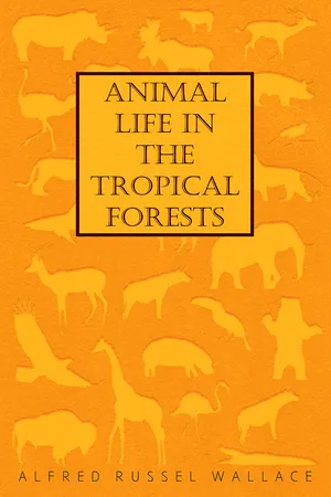 Animal Life in the Tropical Forests