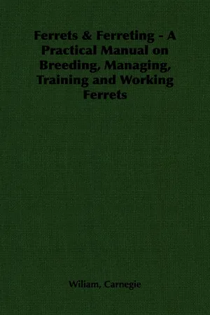 Ferrets & Ferreting - A Practical Manual on Breeding, Managing, Training and Working Ferrets