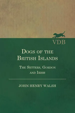 Dogs of the British Islands - The Setters, Gordon and Irish