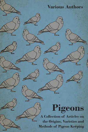 Pigeons - A Collection of Articles on the Origins, Varieties and Methods of Pigeon Keeping