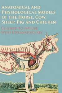 Anatomical and Physiological Models of the Horse, Cow, Sheep, Pig and Chicken - Colored to Nature - With Explanatory Key_cover