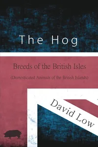 The Hog - Breeds of the British Isles_cover