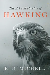 The Art and Practice of Hawking_cover