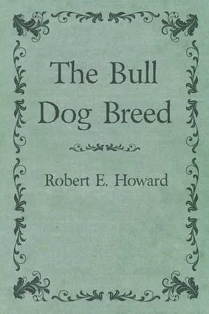 The Bull Dog Breed