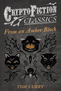 From an Amber Block_cover