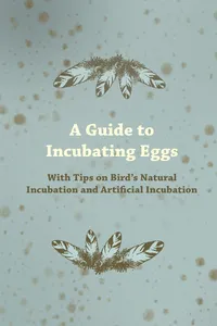 A Guide to Incubating Eggs - With Tips on Bird's Natural Incubation and Artificial Incubation_cover