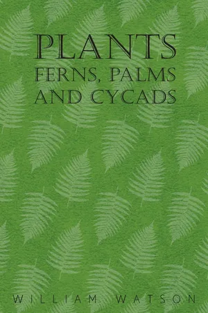 Plants - Ferns, Palms and Cycads