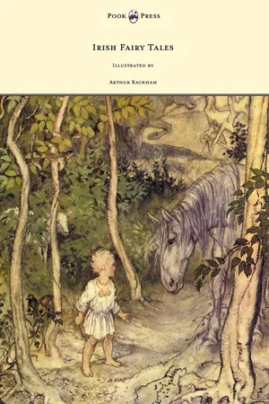 Irish Fairy Tales - Illustrated by Arthur Rackham