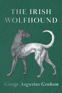 The Irish Wolfhound_cover